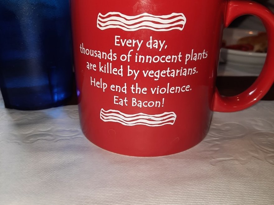 Sahara Cafe Sahara Cafe