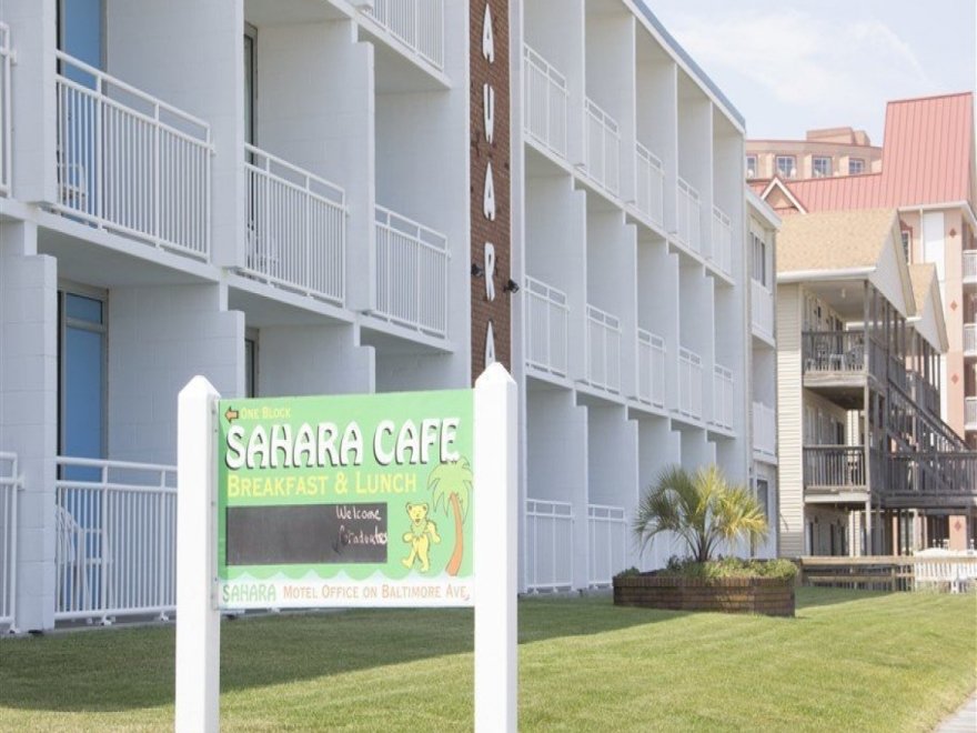 Sahara Cafe Sahara Cafe