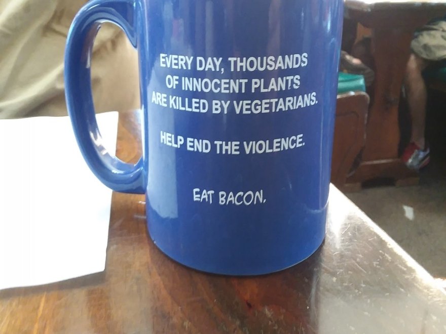 Sahara Cafe Sahara Cafe