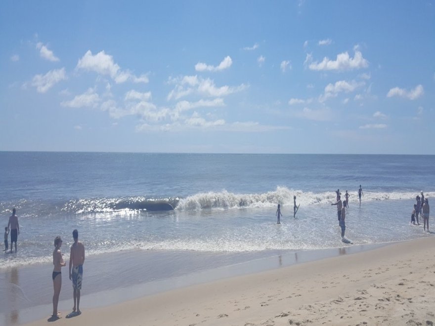 North Surf Park