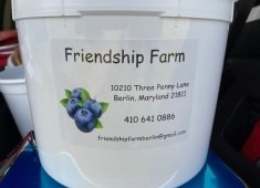 Friendship Farm